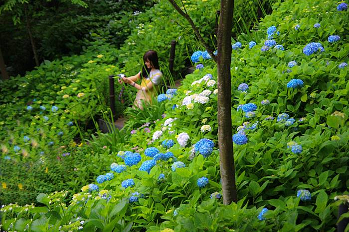 鎌倉長谷寺