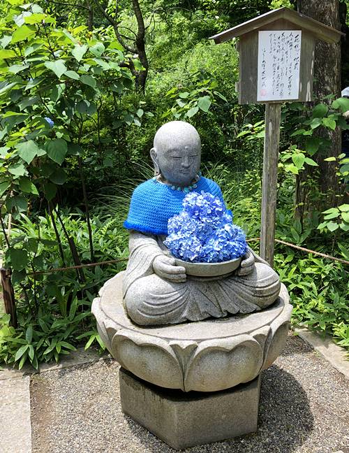 鎌倉あじさい寺地蔵明月院