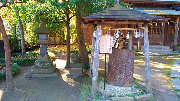 御霊神社弓立の松