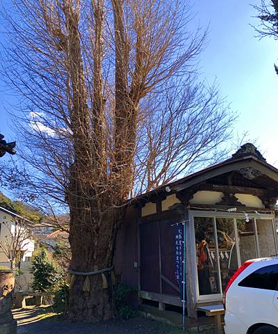 蛭子神社