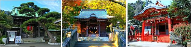 鎌倉江の島七福神コース長谷寺