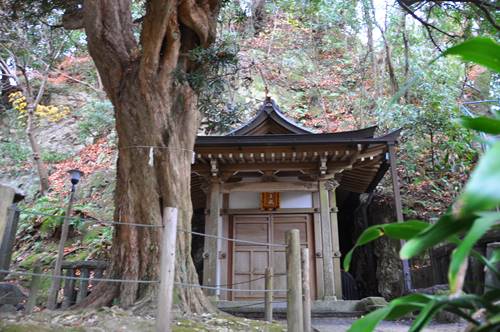 安国論寺熊王
