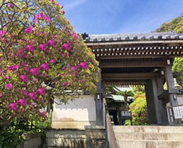 安養院