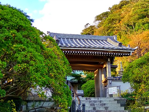 安養院門