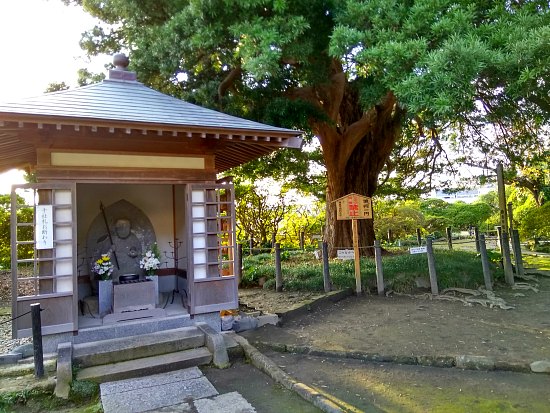 安養院槙