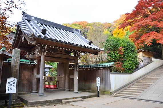佛日庵の門