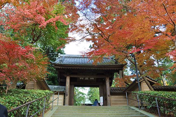 円覚寺紅葉