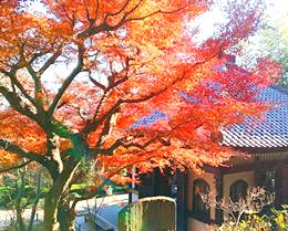 長谷寺