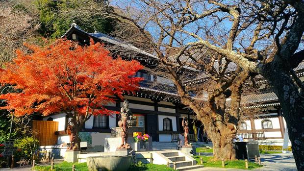 長谷寺の秋