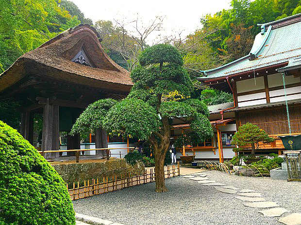 報国寺