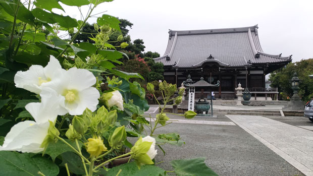 本覚寺