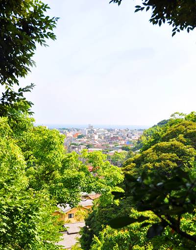 浄光明寺眺め