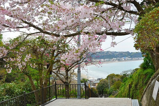 成就院由比ガ浜