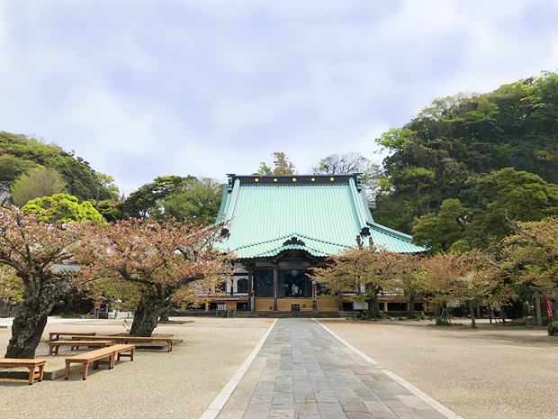 光明寺大殿は十四軒四方の壮大な木造建築物。