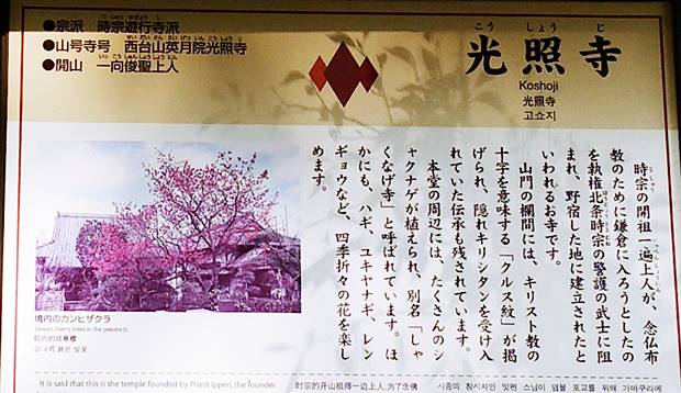 光照寺来歴