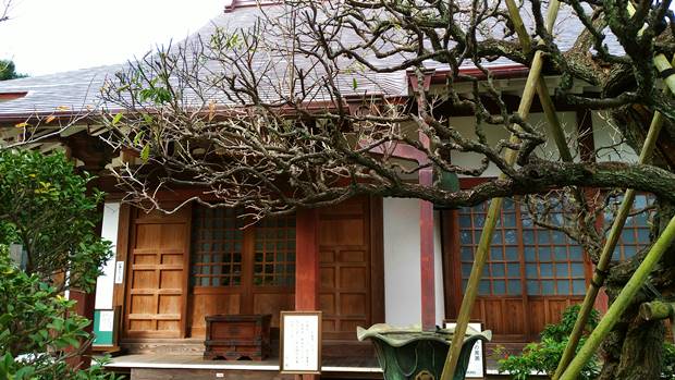 光照寺本殿は安政六年西暦１８５９年に設立されました