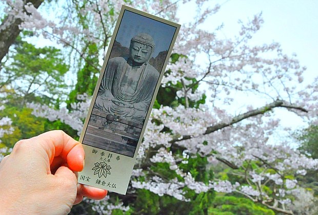 高徳院参拝