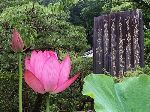 光則寺花の寺