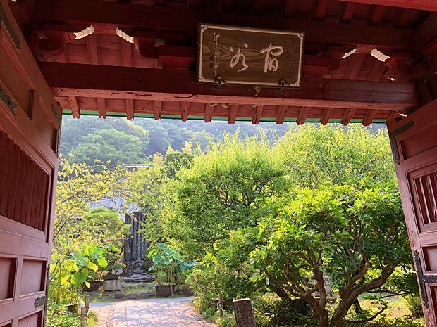 鎌倉光則寺山門