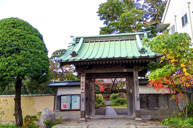 教恩寺外
