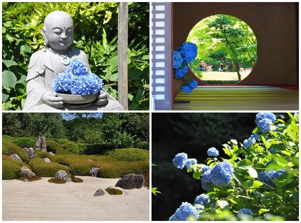 明月院