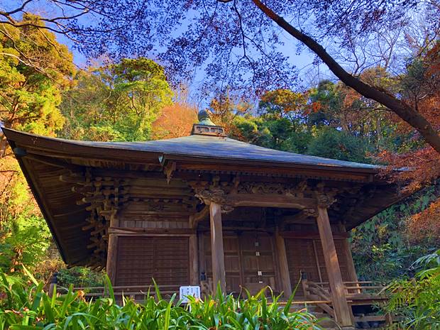 妙法寺苔の法華堂