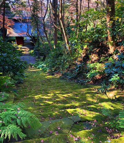 妙法寺苔寺