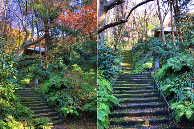 妙法寺苔の石段