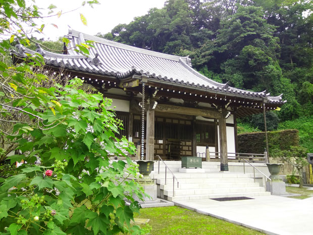 来迎寺と芙蓉