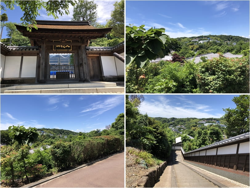 雲頂菴へ行く道