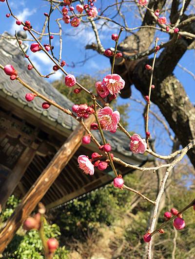 瑞泉寺 二階堂