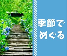 鎌倉季節でめぐる